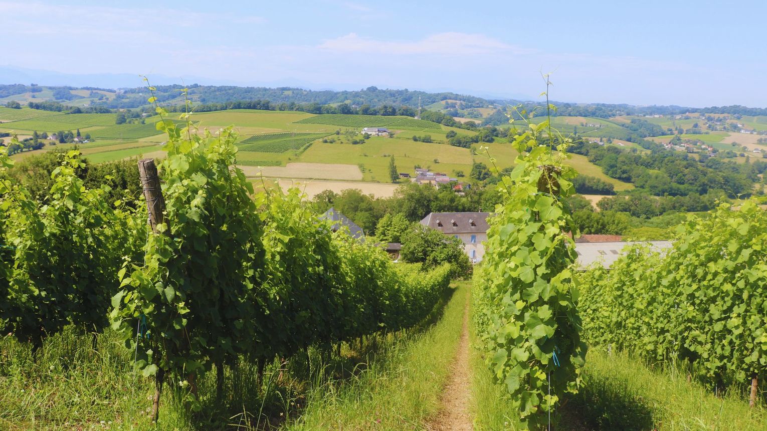 Domaine Peyrette - CUQUERON