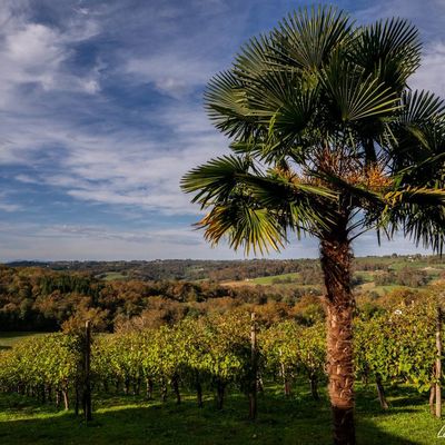 Clos Laplume - MONEIN