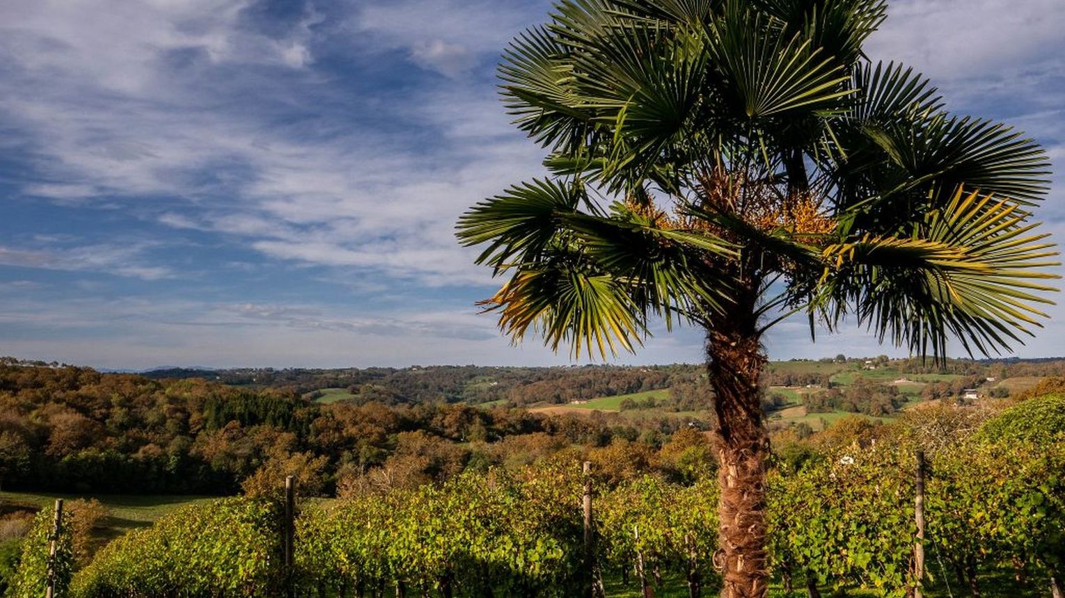 Clos Laplume - MONEIN