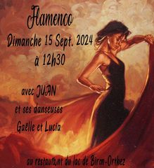 Spectacle flamenco - ORTHEZ