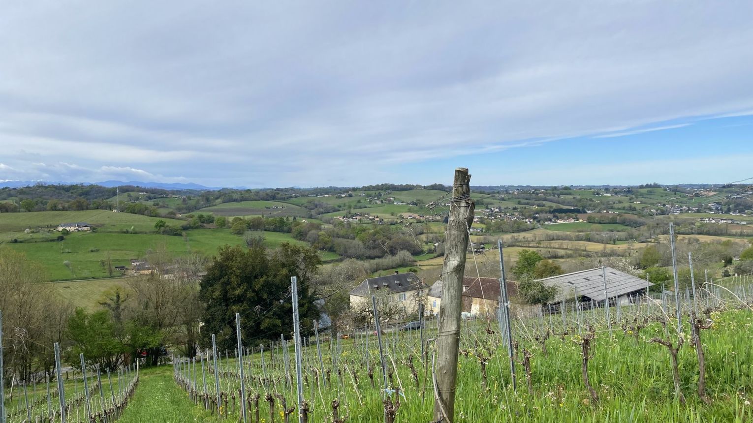 Domaine Peyrette - CUQUERON