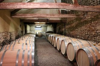 Portes ouvertes en Jurançon : Domaine Bellegarde - MONEIN