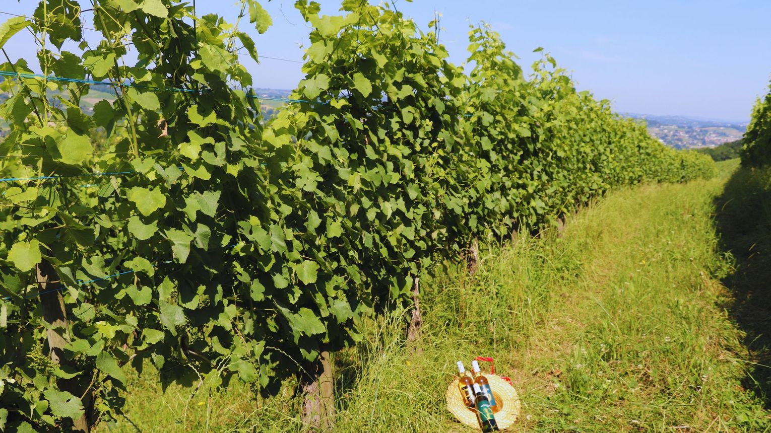 Domaine Peyrette - CUQUERON