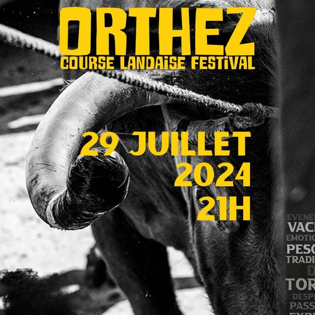 Course Landaise Festival - Orthez