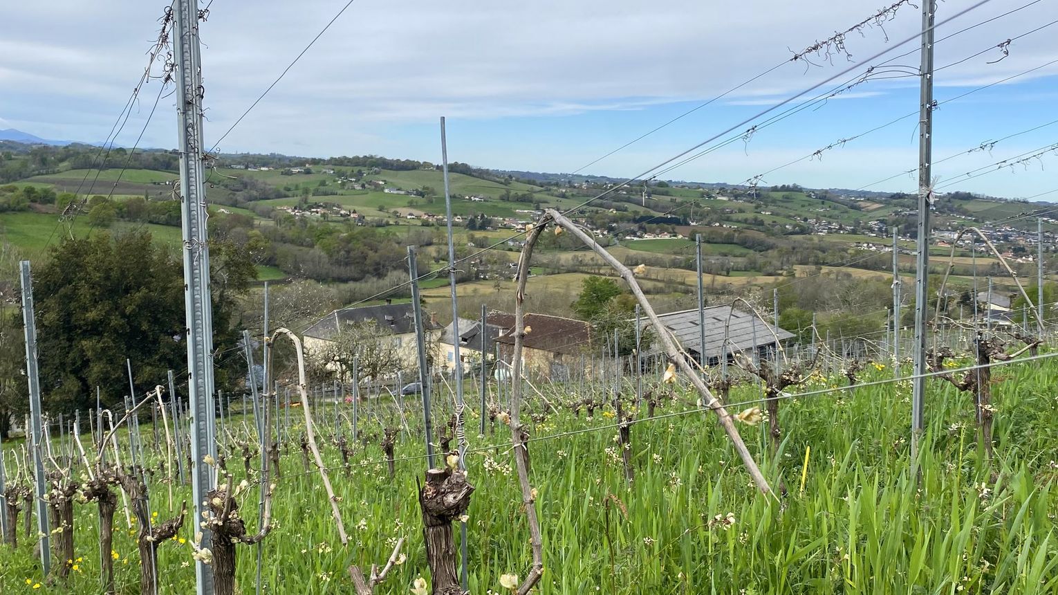 Domaine Peyrette - CUQUERON