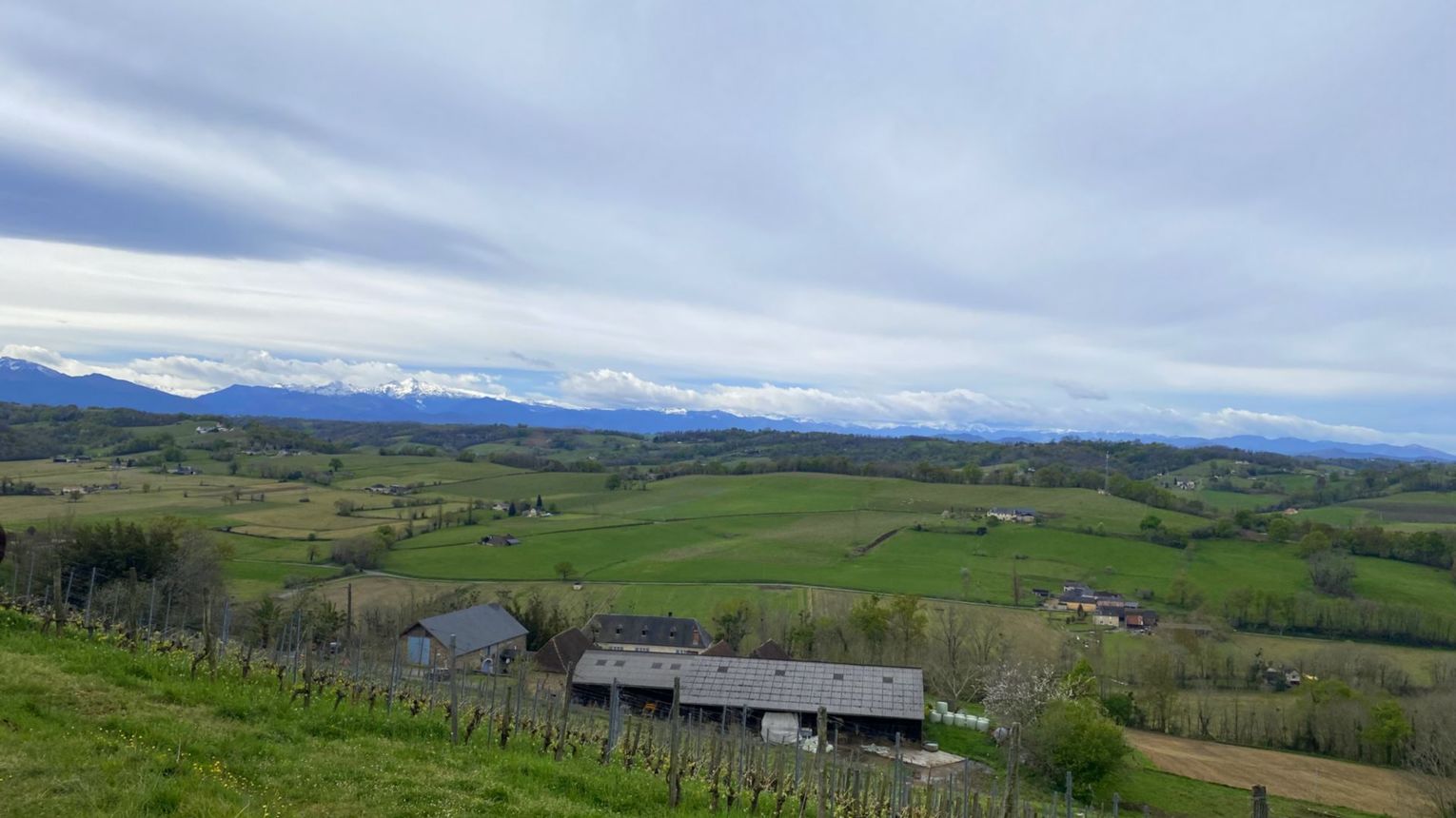 Domaine Peyrette - CUQUERON