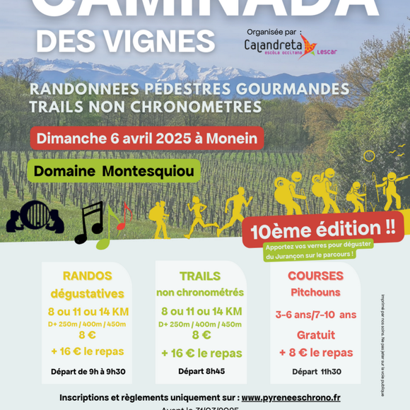 Caminada des vignes - MONEIN