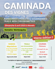 Caminada des vignes - MONEIN