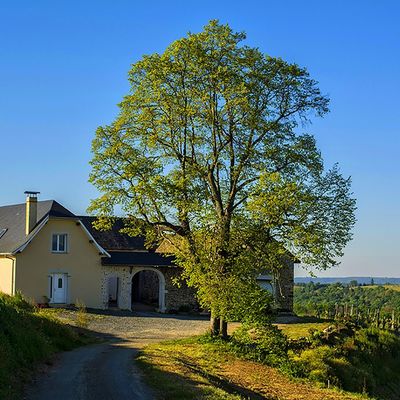 Maison Pesaulhé - MONEIN