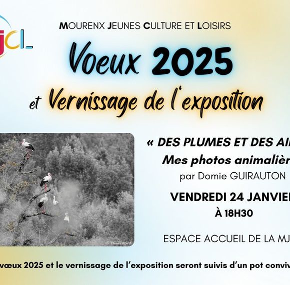 Vernissage exposition : Des plumes et des ailes - MOURENX