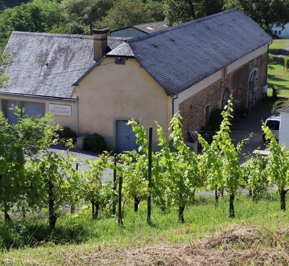 Portes ouvertes en Jurançon : Domaine Bellegarde - MONEIN