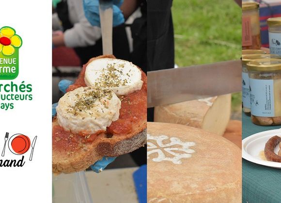 Marché de producteurs de pays - ORTHEZ