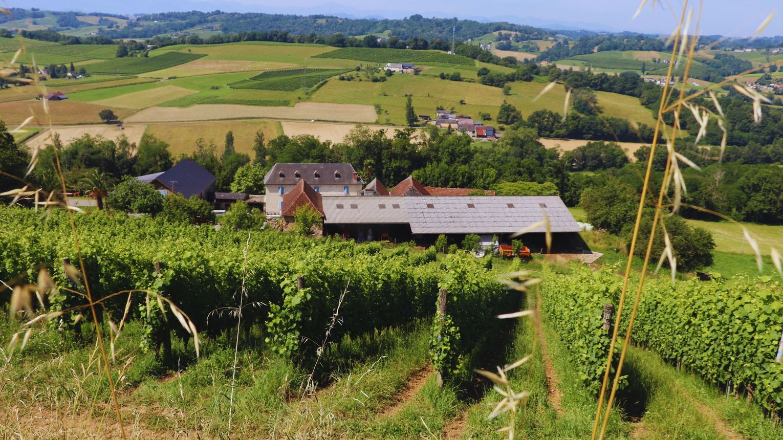 Domaine Peyrette - CUQUERON