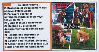 Halloween avec les poneys - BONNUT