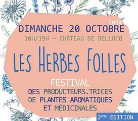 Festival : Les Herbes folles - BELLOCQ