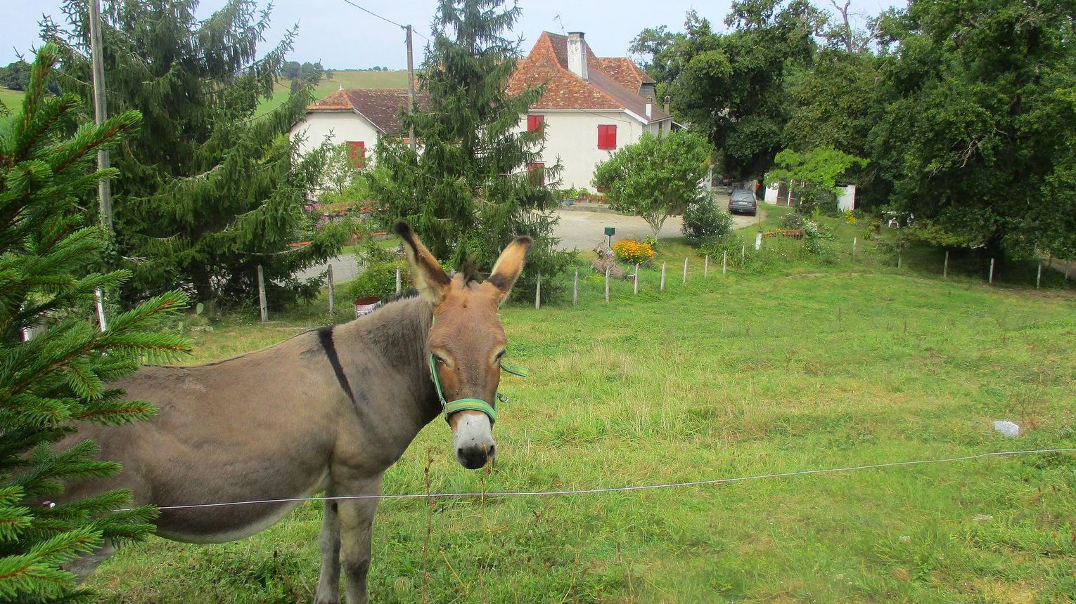 Maisonnette Aubagna - LOUBIENG