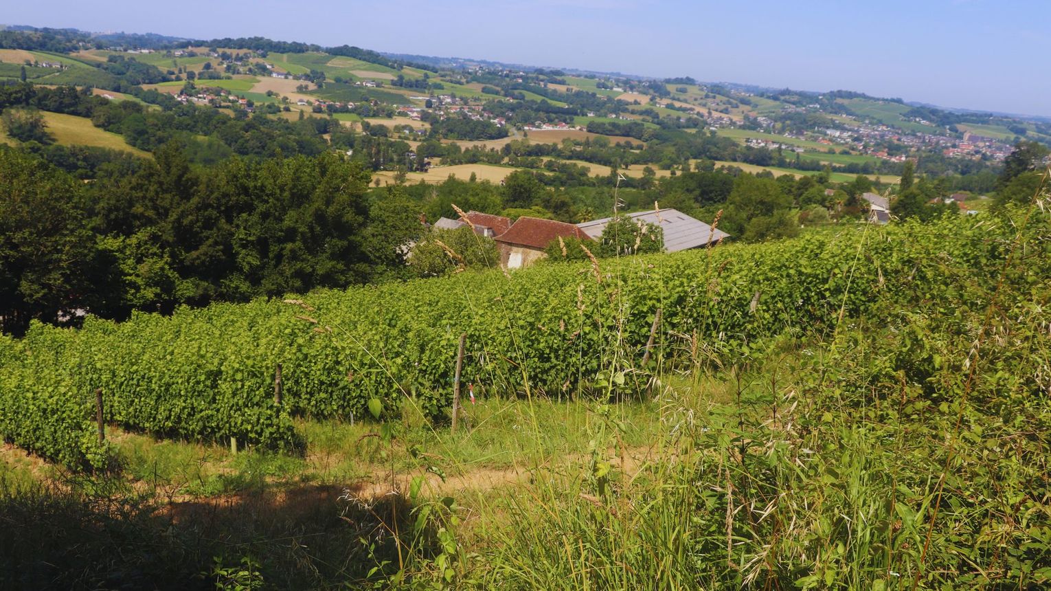 Domaine Peyrette - CUQUERON